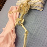 寝返り上手は健康上手