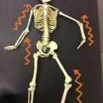 あなたの頭痛はどこから?~薬で治らない偏頭痛~