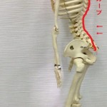 腰の辛い痛みでお悩みのあなたへ