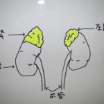 ☆あきらめないで！更年期障害☆