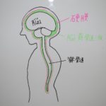 めまいについて　3つのタイプの原因と対策