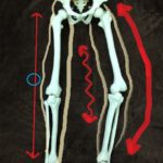 O脚をチェックする3つのチェックポイント