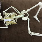 夏バテと姿勢と改善策