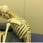 新 現代病 スマホが体に与える影響について
