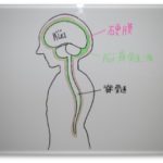 ◇ふわふわするめまいの原因と治療◇