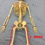 マラソンで膝が痛くなったら