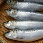 原因不明のアレルギー症状、ストレスが影響？