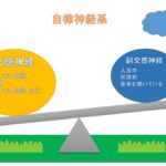 交感神経と副交感神経とは？