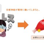 自律神経と筋肉の関係