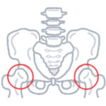骨盤の痛みの原因！内臓が関係？