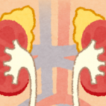 アトピー改善の基礎知識　ステロイドの上手な使い方