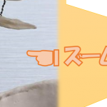 病院で不明だった腰椎椎間板ヘルニア　その原因はズバリこれ！