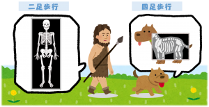 【ヘルニアってなに？】ヘルニアになってしまう人はズバリ〇〇が悪い？！