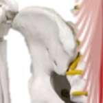 腰椎椎間板ヘルニアの代表的な症状とは？この症状が出てきたらヘルニアに注意！