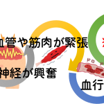 【決定版!】椎間板ヘルニアと診断された人に知ってほしい6つの事実 松山の整体院