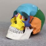 【小顔矯正は骨の矯正】筋肉のたるみをキュッと引き締めて小顔ダイエットするための３つの骨格矯正法