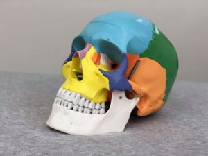 【小顔矯正は骨の矯正】筋肉のたるみをキュッと引き締めて小顔ダイエットするための３つの骨格矯正法