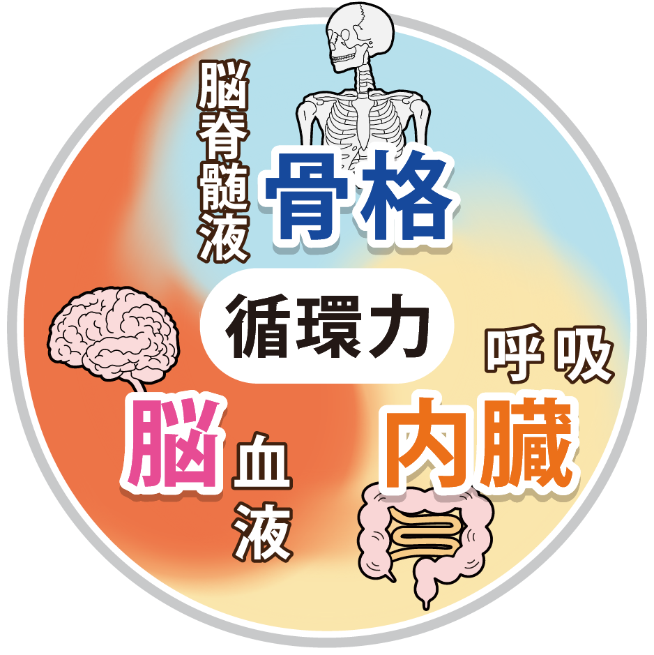 循環力