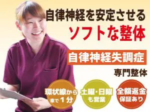 自律神経系統図　カイロプラクティックパネル　美容パネル　収納袋付き 自律神経失調症 |岡山の整体【自律神経調整】大原カイロプラクティック
